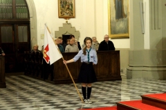 AGluc-20181109-00083