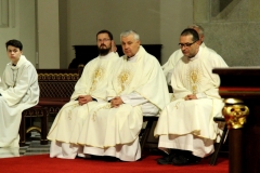 AGluc-20181109-00266