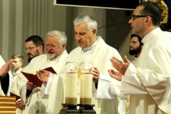 AGluc-20181109-00351