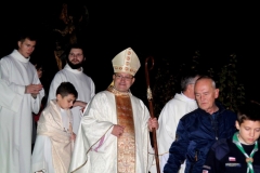 AGluc-20181109-00690
