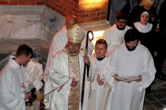 AGluc-20181109-00708