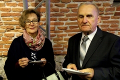 AGluc-20181109-00906