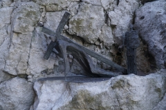 DSC5351